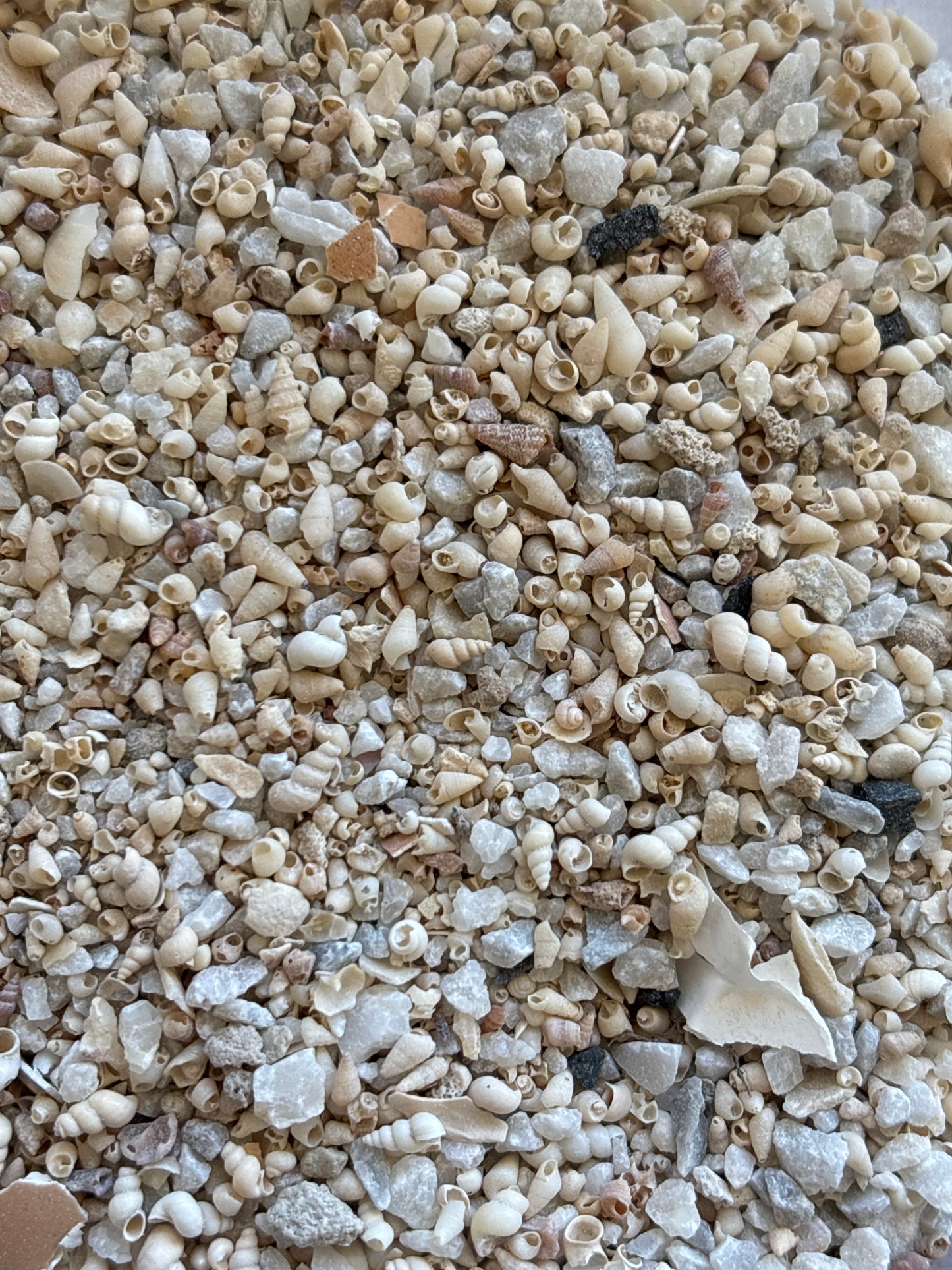 Healthy Grit & Cuttlebone Mix 250g - Fine For Birds