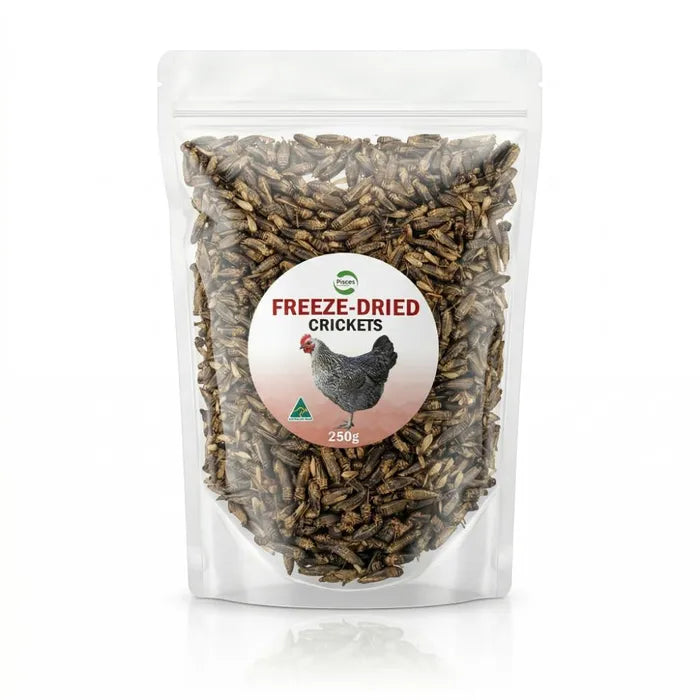 Freeze Dried Crickets 250g