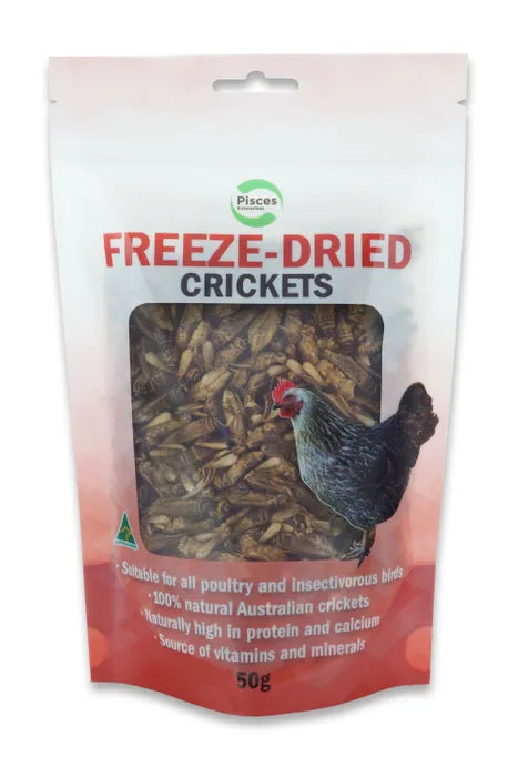 Pisces Freeze Dried Crickets 50g Bag For Reptiles & Poultry