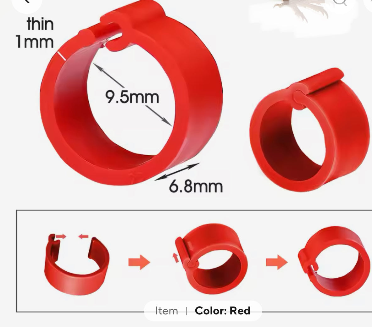 Pigeon Leg Rings Plastic 8mm Bag of 10 Mixed Colours