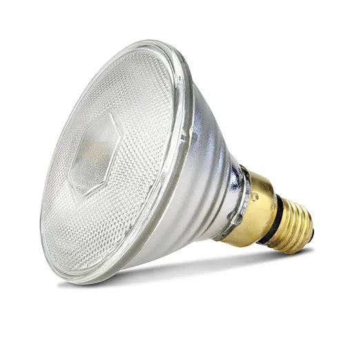 Infrared Heat Lamp Bulb - Clear - 100W