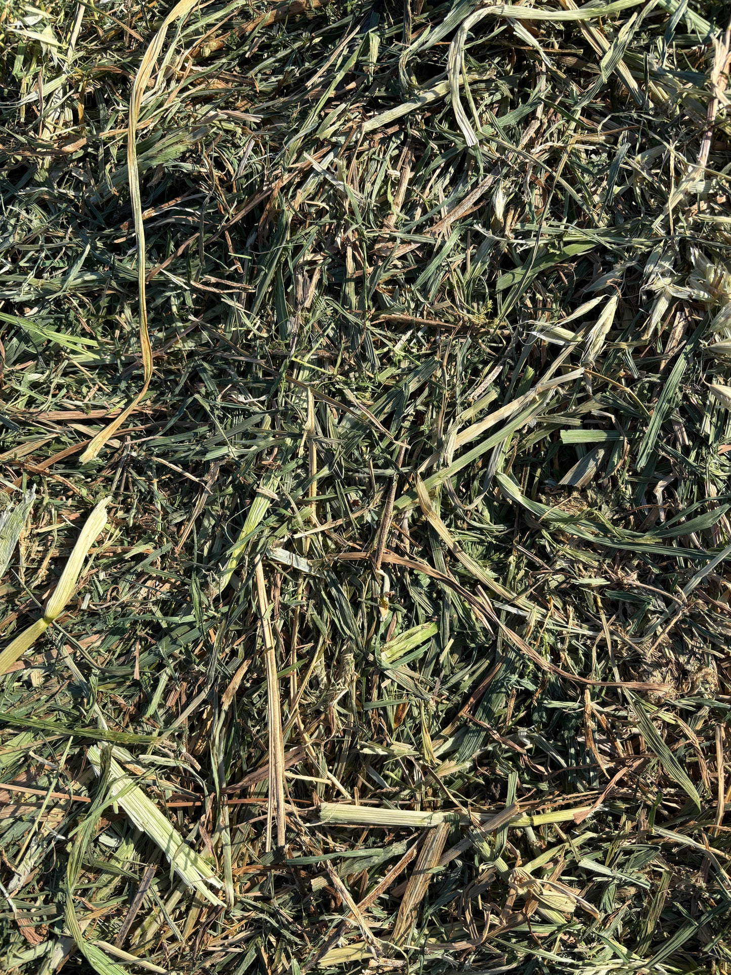 Oaten/Grass Mix Hay Bale NEW SEASON