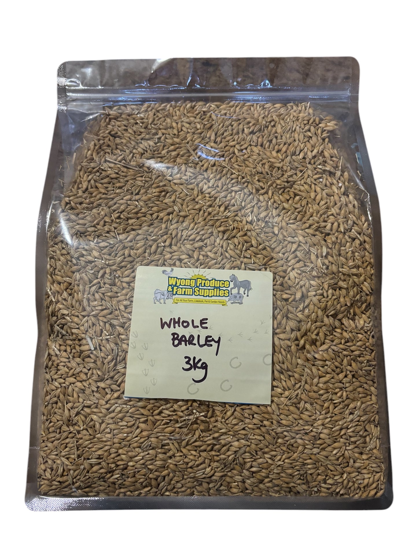 Whole Barley Grain 3kg