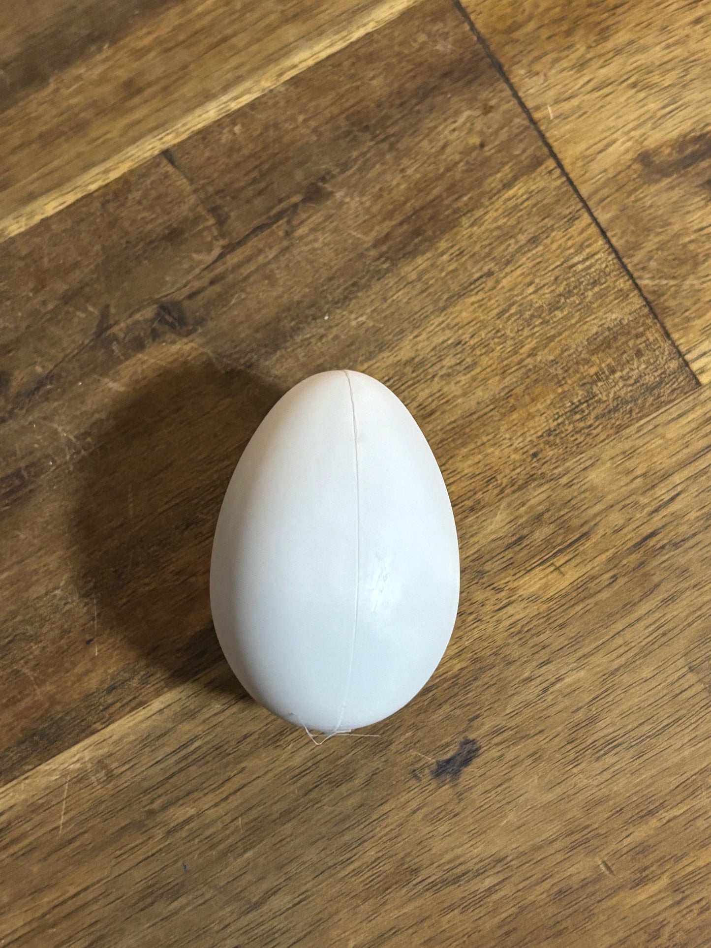 White Plastic Poultry Dummy Egg - Single