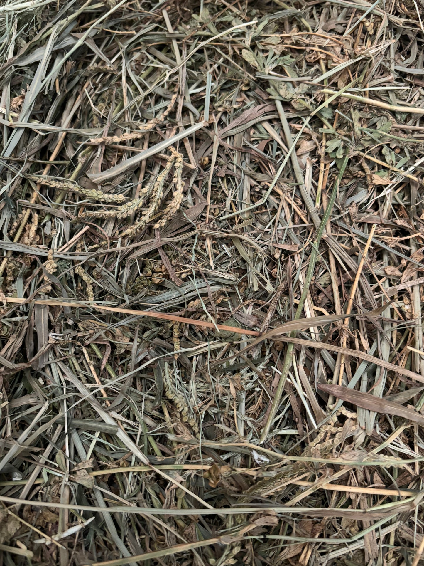 Meadow Hay Large Bag Suitable For Guinea Pigs & Rabbits