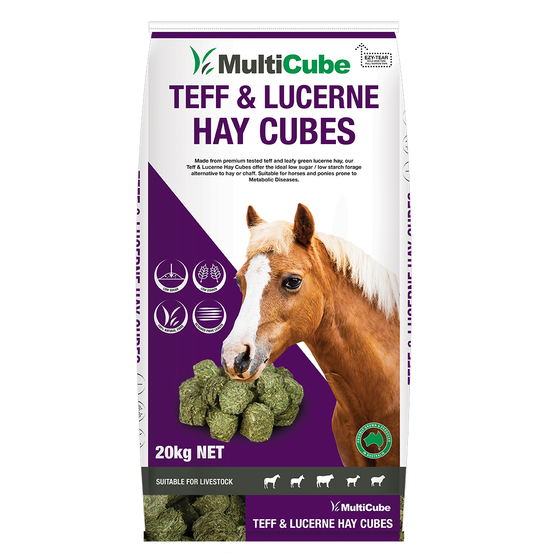 Multicube Hay Cubes LUCERNE & TEFF Hay. 20kg Bag