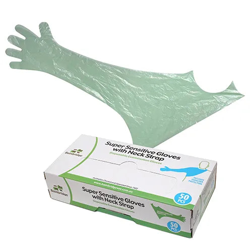 Neck Strap Shoulder Length Gloves Box Of 50