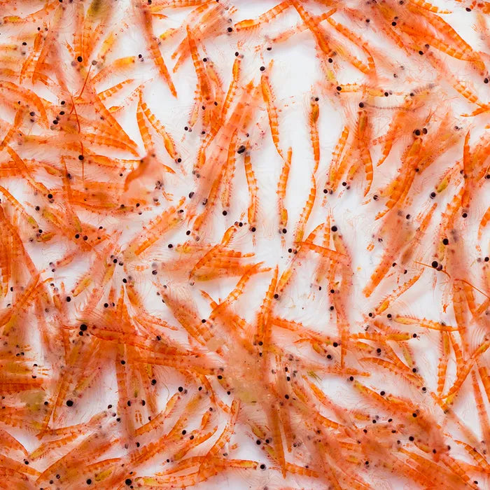 PNP Freeze Dried Krill 16g