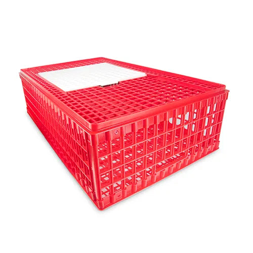 Poultry Transport Crate - Plastic