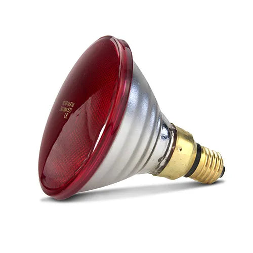 Infrared Heat Lamp Bulb - Red - 50W