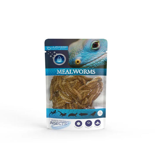 Super Fresh Mealworms 20g