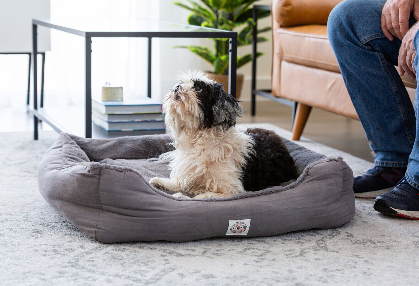 Electric Heated Pet Bed - Small