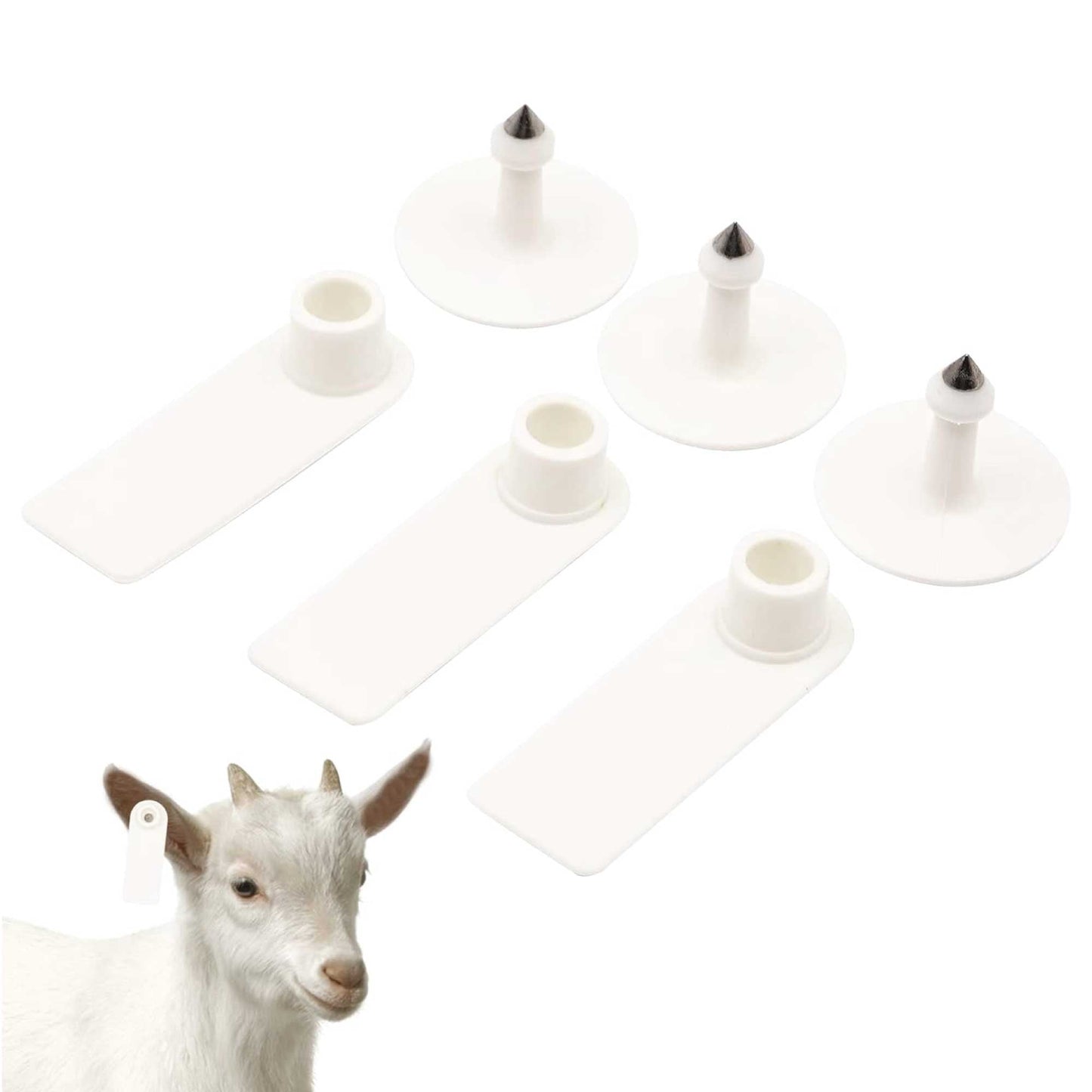 100x Cattle Ear Tags 5x2cm Set - Mini White Blank Pig Goat Livestock Label