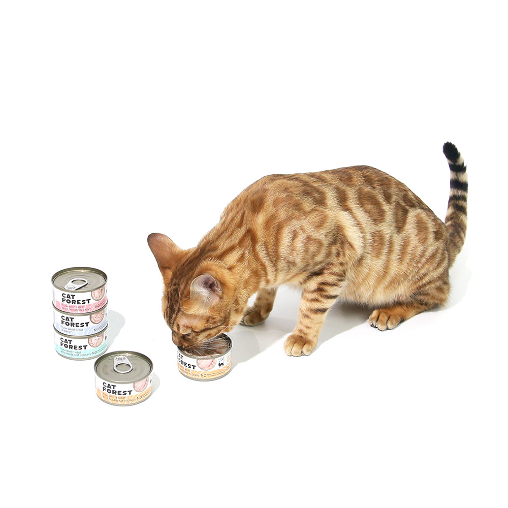 Cat Forest Classic Tuna White Meat With Shrimp In Gravy Cat Canned Food 85G X 24 Bulk Buy