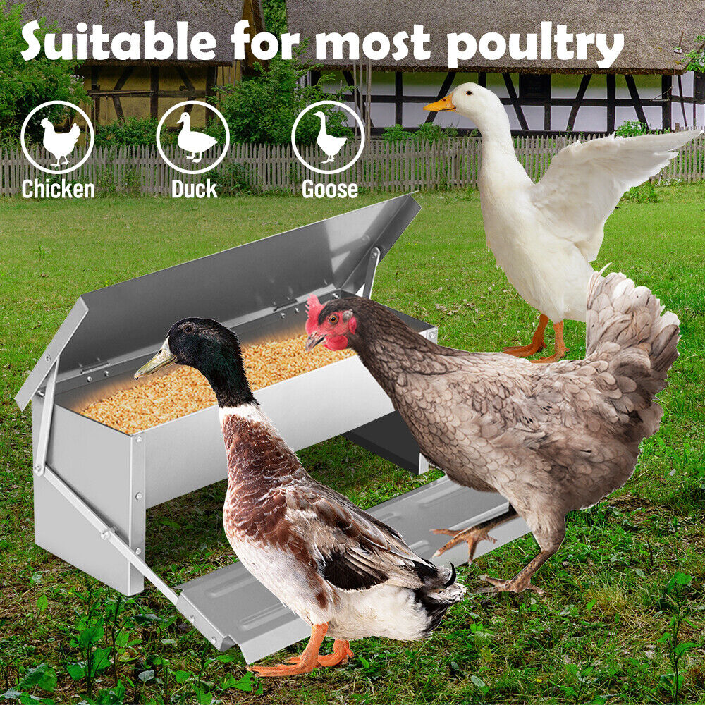 5KG 7.5L Automatic Poultry Feeder