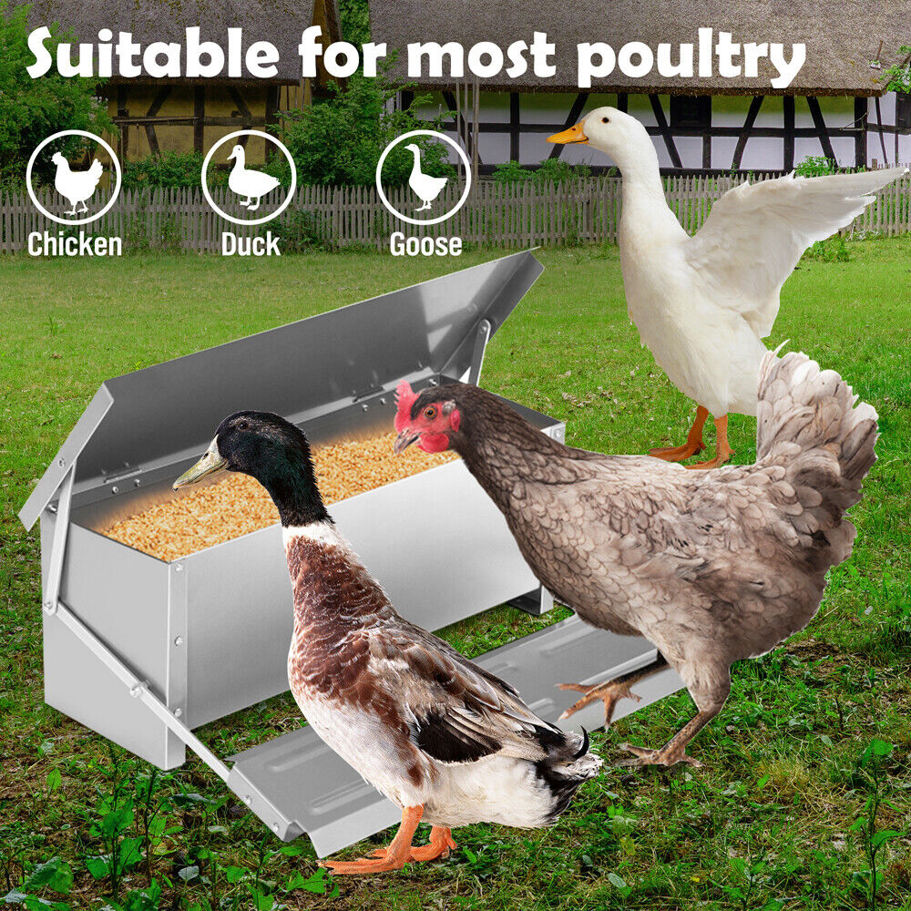 10KG 12.5L Automatic Poultry Feeder