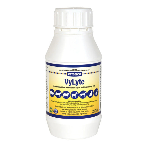 Vetsense VyLyte 250ml Concentrated Oral Rehydration Liquid For Animals