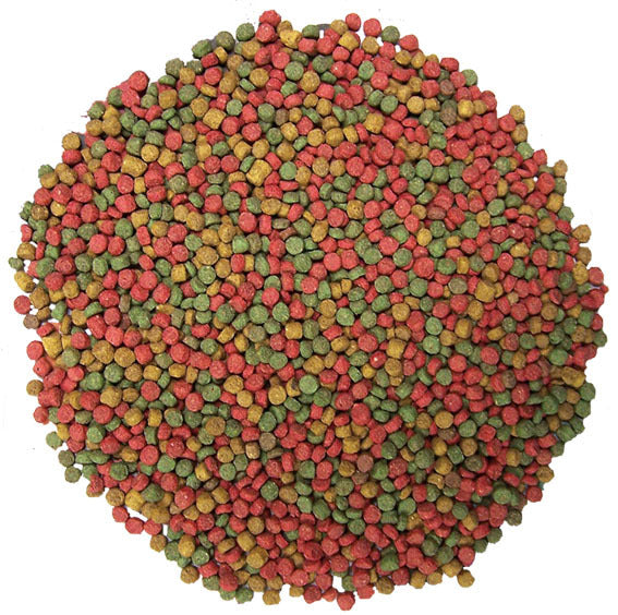 URS Lizard Food 200g Balanced Diet For Herbivore/Omnivore Reptiles Juvenile Formula