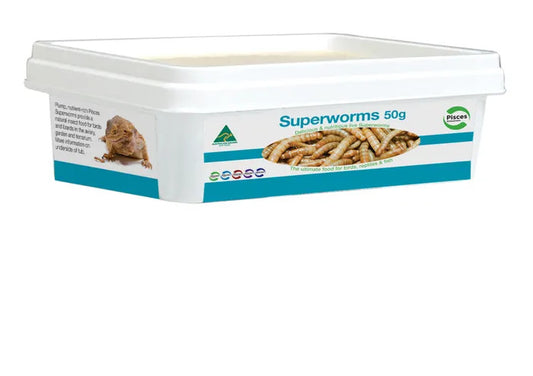 Live Mealworms - Super Worms 50g