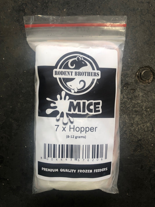 RB Frozen Mice - Hopper 7 Pack