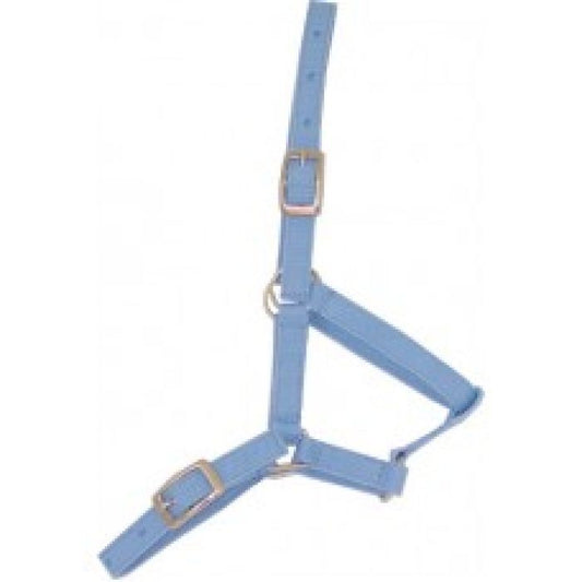 Cant-A Webbing Small Foal Halter