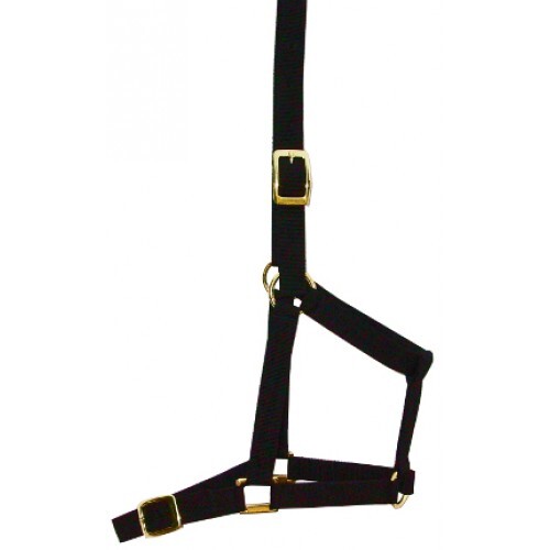 Cant-A Horse Webbing Halter