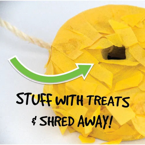 Bird Toy Emoji Pinata