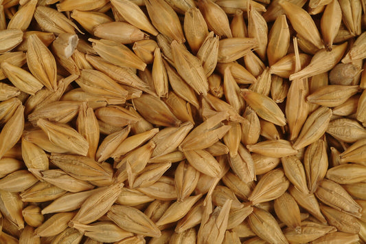 Avigrain Whole Barley 20kg