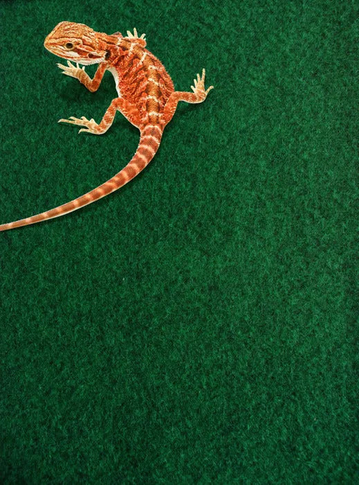 KOM Reptile Carpet 60cm x 50cm
