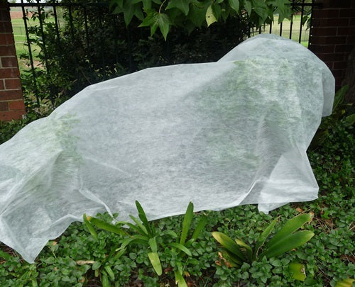 Surefix Horticultural Frost Blanket 2 metres x 10 metres 30gsm