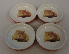 Mini Ceramic Bowl For Small Animals Or Reptiles Feed & Water