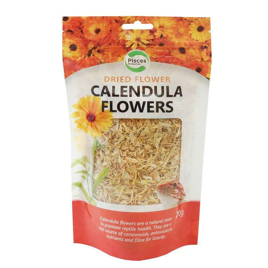 Dried Calendula Flowers 20g Suitable For Carnivorous Reptiles