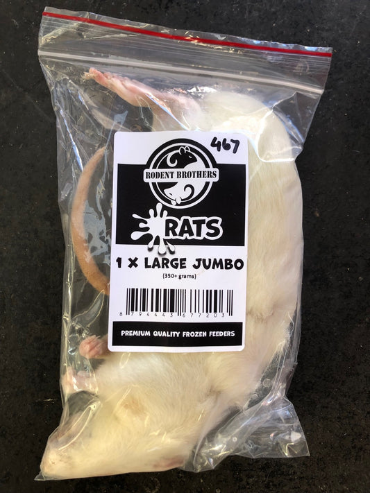 RB Frozen Rat - XL Jumbo 1 Pack