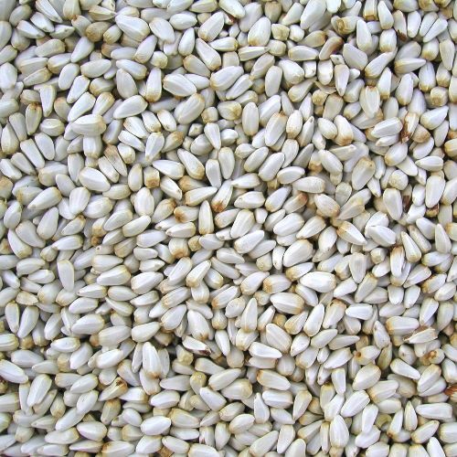 Safflower Seeds 3kg