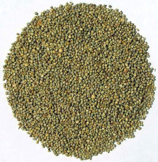 Shirohie (Jap) Millet Seed 1kg