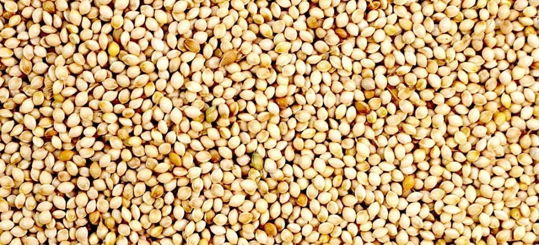 White French Millet Seed 1kg