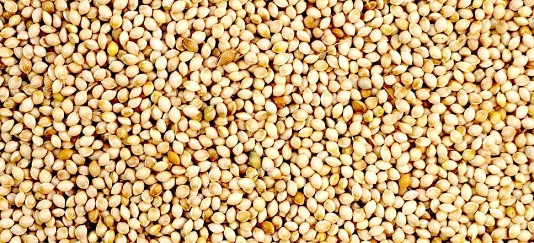 White French Millet Seed 1kg