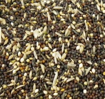 Avigrain Tonic Seed Mix 1kg