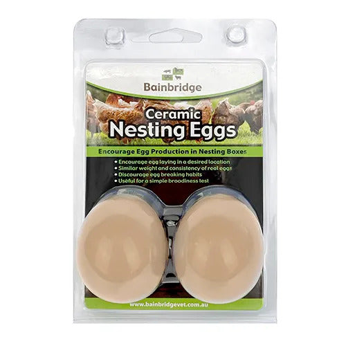 Nesting Eggs - Ceramic Pack Of 2