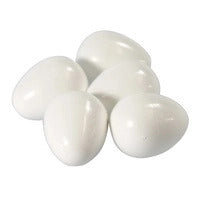 Plastic Dummy Canary Eggs - White - 5 Pack