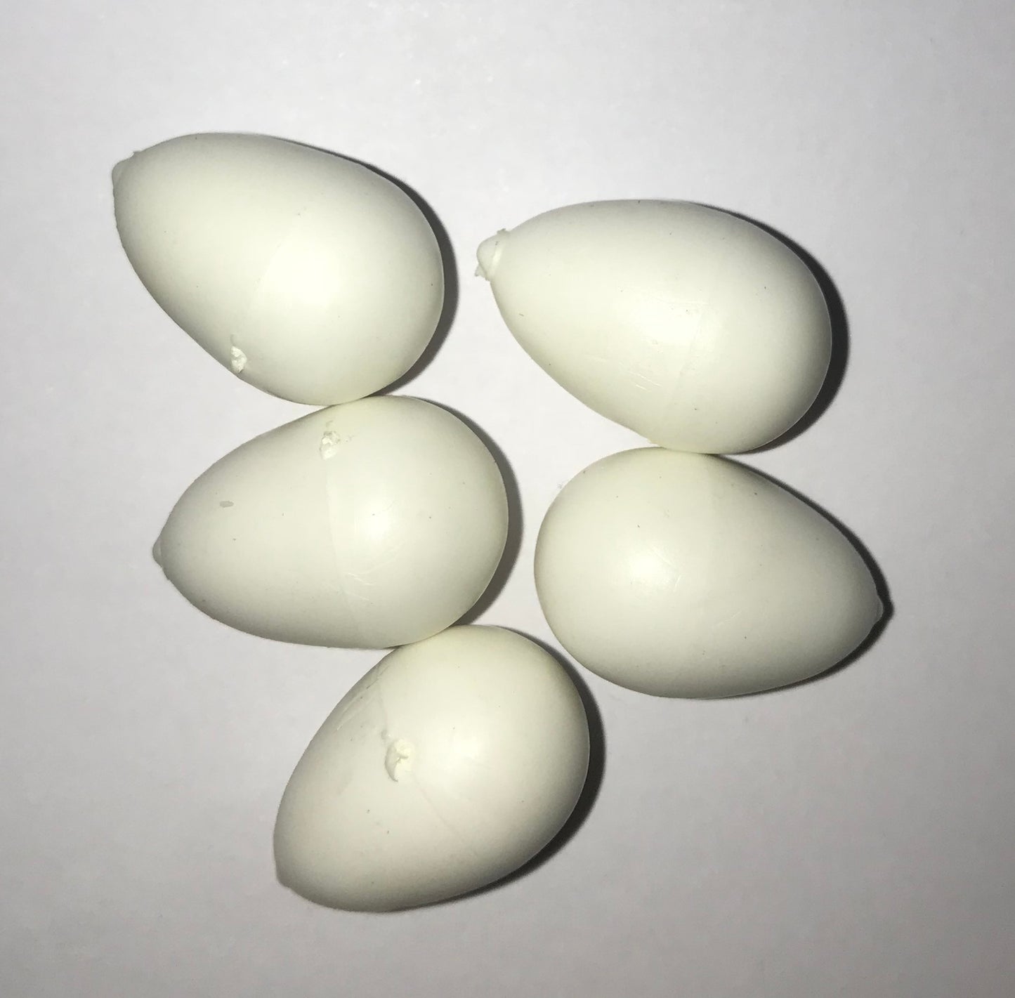 Plastic Dummy Finch Eggs (5 Pack)