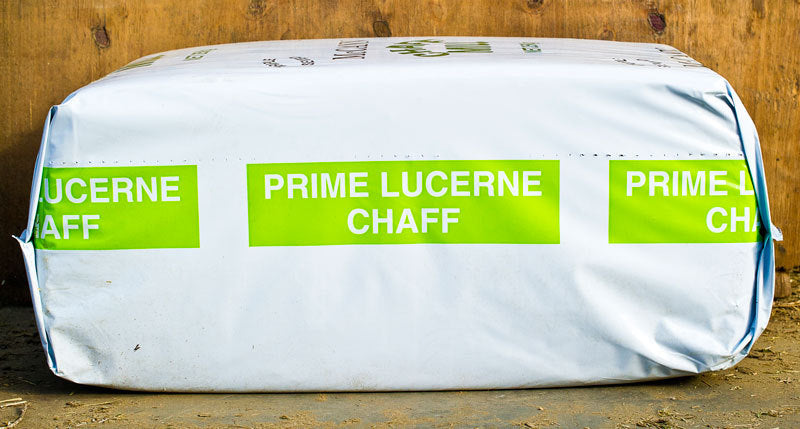 Dara Pastoral Lucerne Chaff 25kg