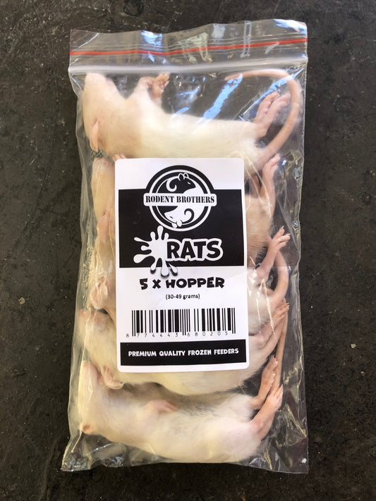 Rb Frozen Rats - Hopper 5 Pack