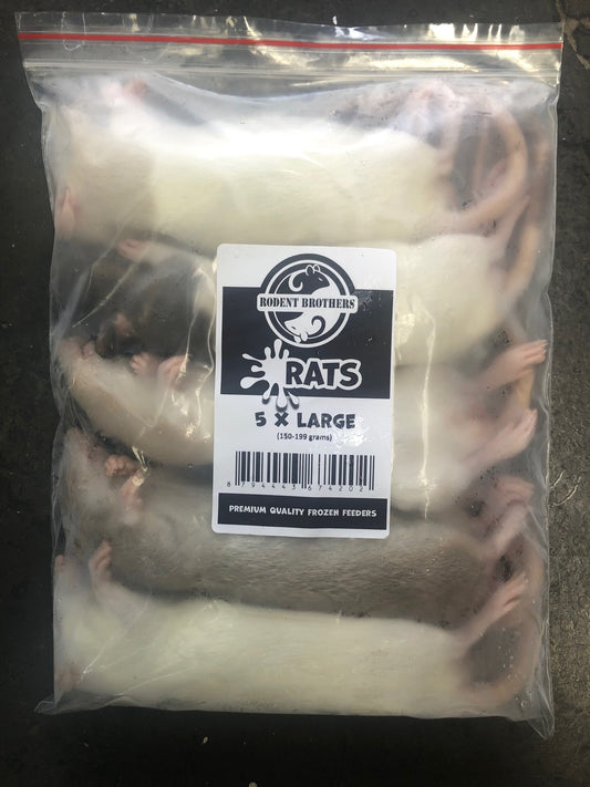 RB Frozen Rat - Large 5 Pack