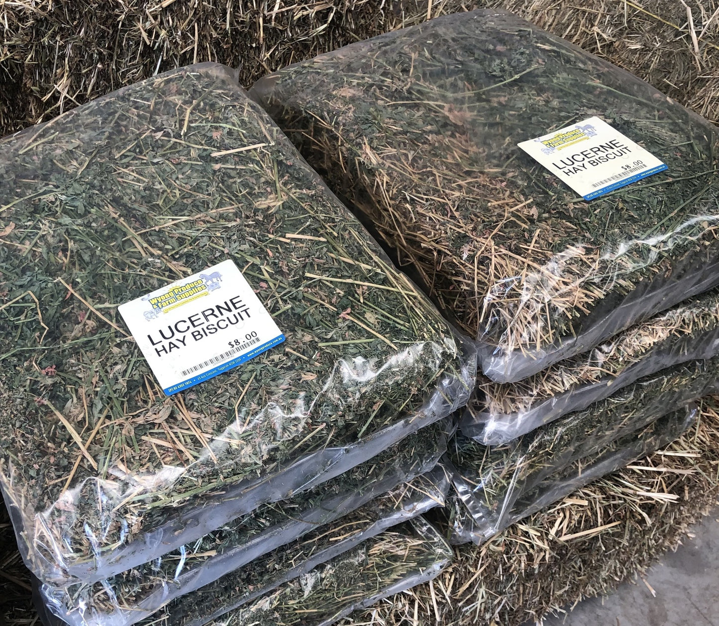 Lucerne Hay Biscuit