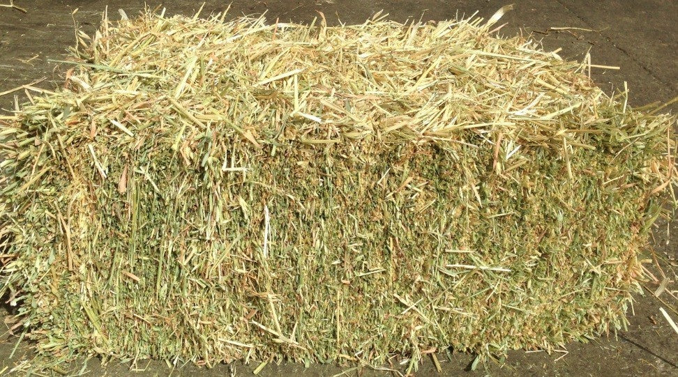 Oaten Hay Bale