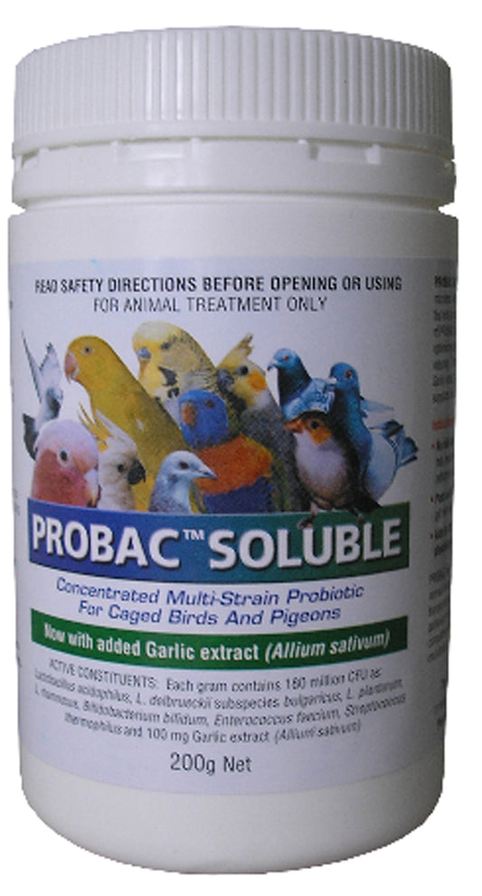 Probac Soluble 200g Concentrated Multi Strain Probiotic For Birds