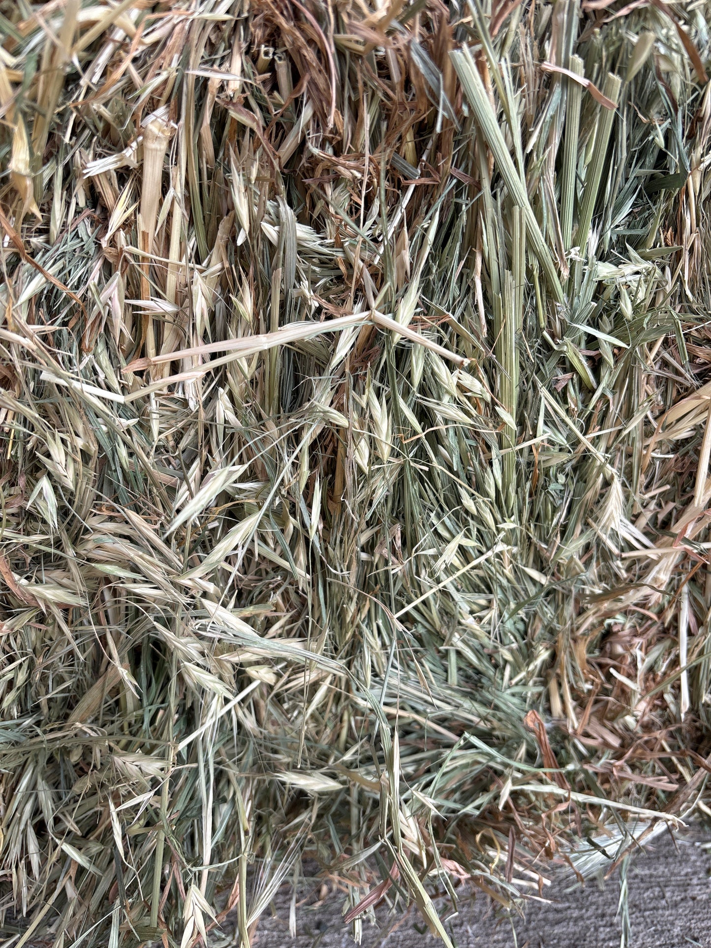 Meadow Hay Bale