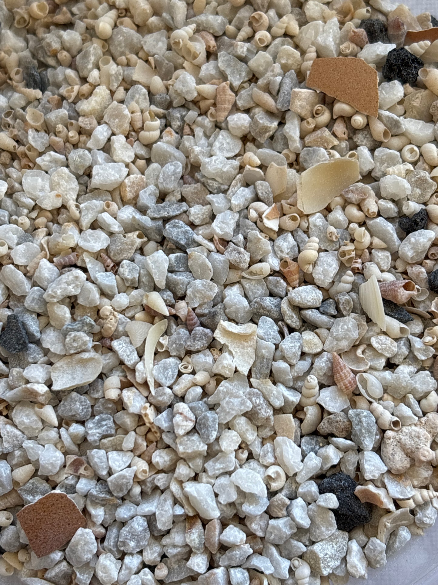 Healthy Grit & Cuttlebone Mix 250g - Coarse For Poultry & Large Birds