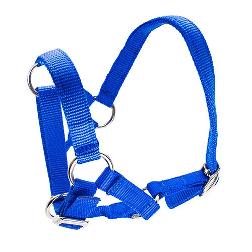 Alpaca Halter Nylon Webbing